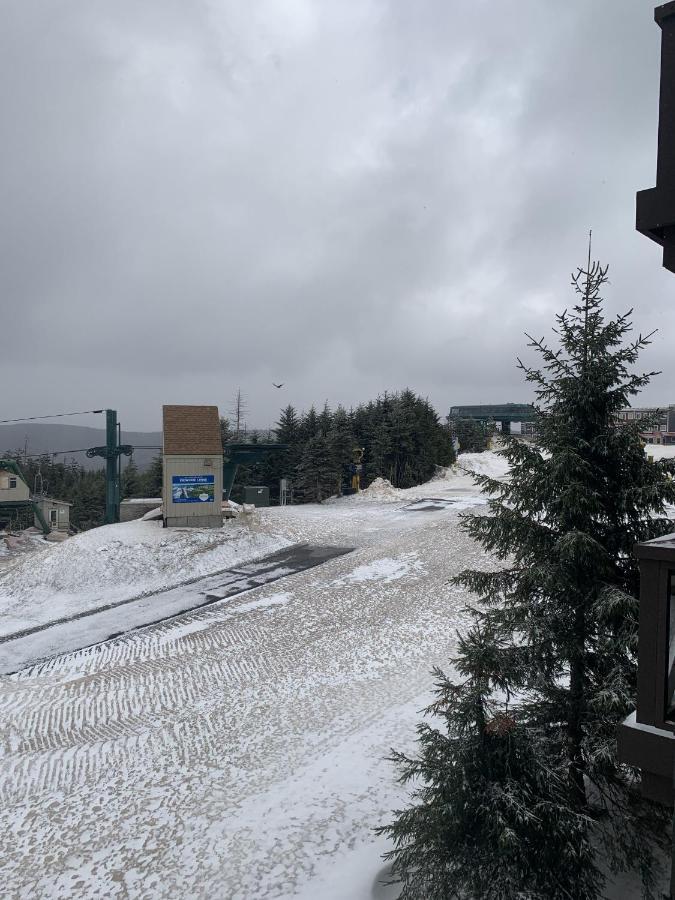 Highland House 207 Slopeside, Village Area, Ski In Out Snowshoe Exteriör bild
